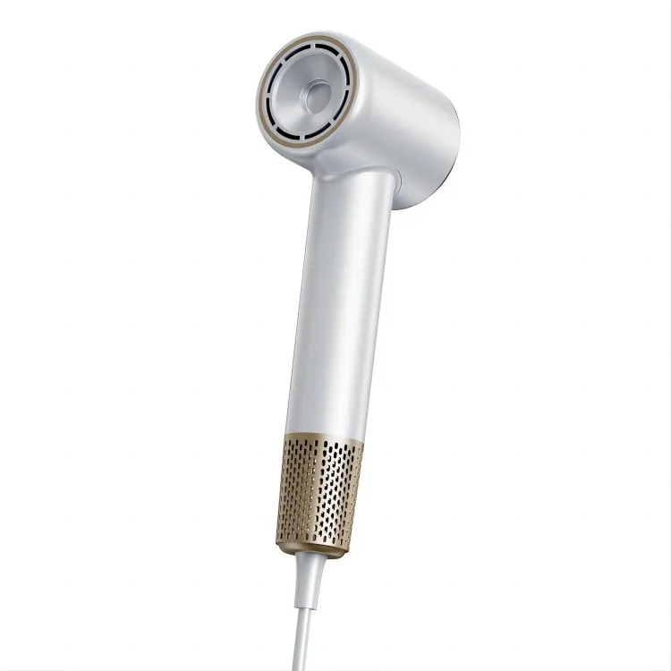 מייבש שיער מקצועי בהתאמה אישית